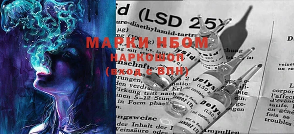 ECSTASY Новодвинск