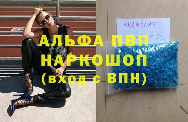 ECSTASY Новодвинск